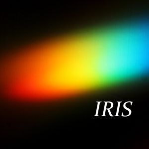 IRIS. Veva Linaza